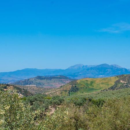 Вилла Alma Del Tejar Antequera La Higuera By Ruralidays Экстерьер фото